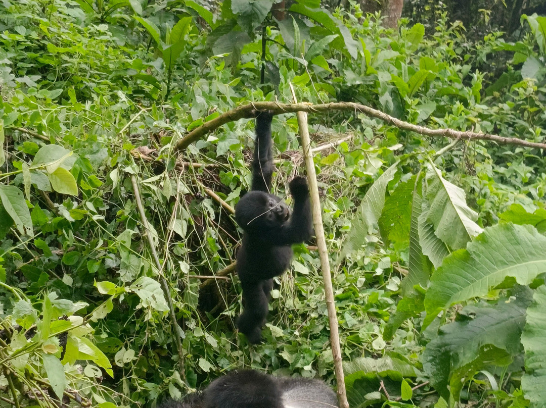 BIC Tours-坎帕拉必去景点
