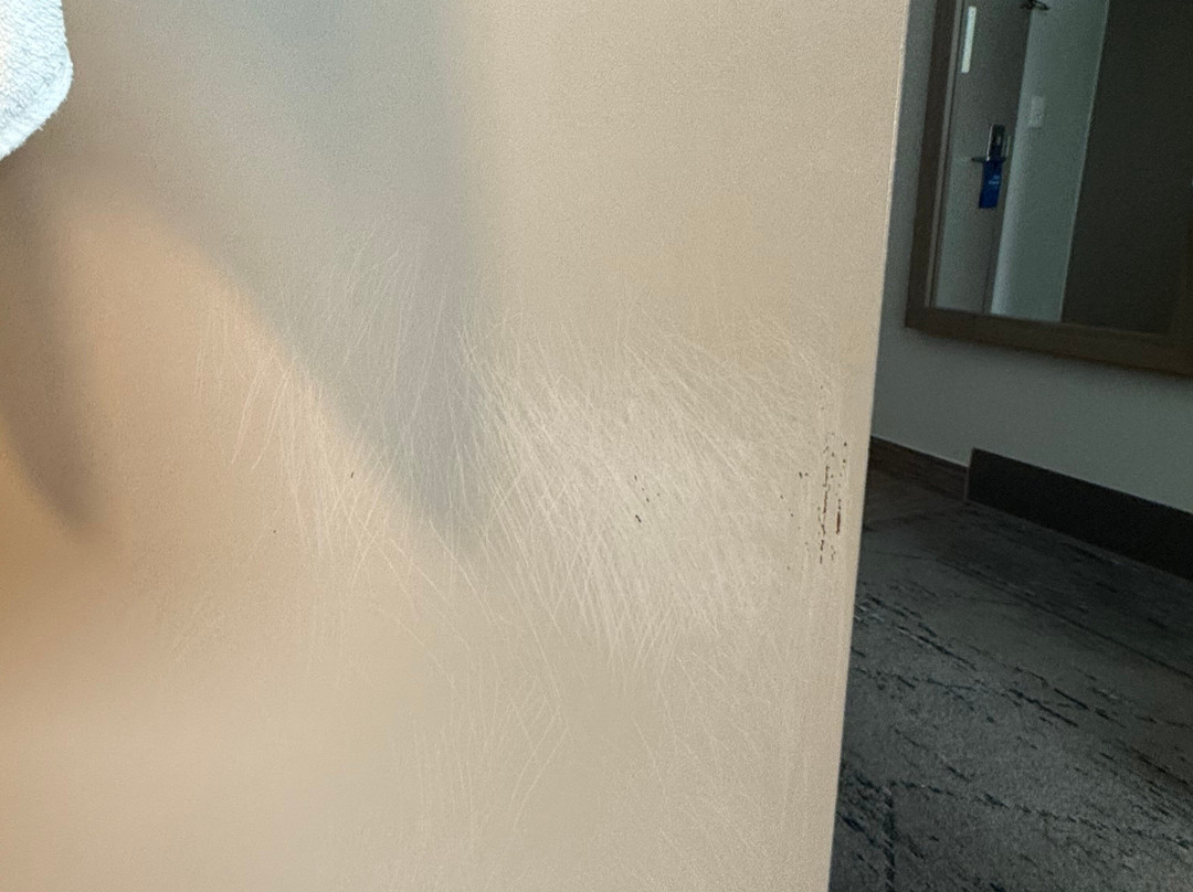 Holiday Inn Express Harrisburg NE by IHG主图