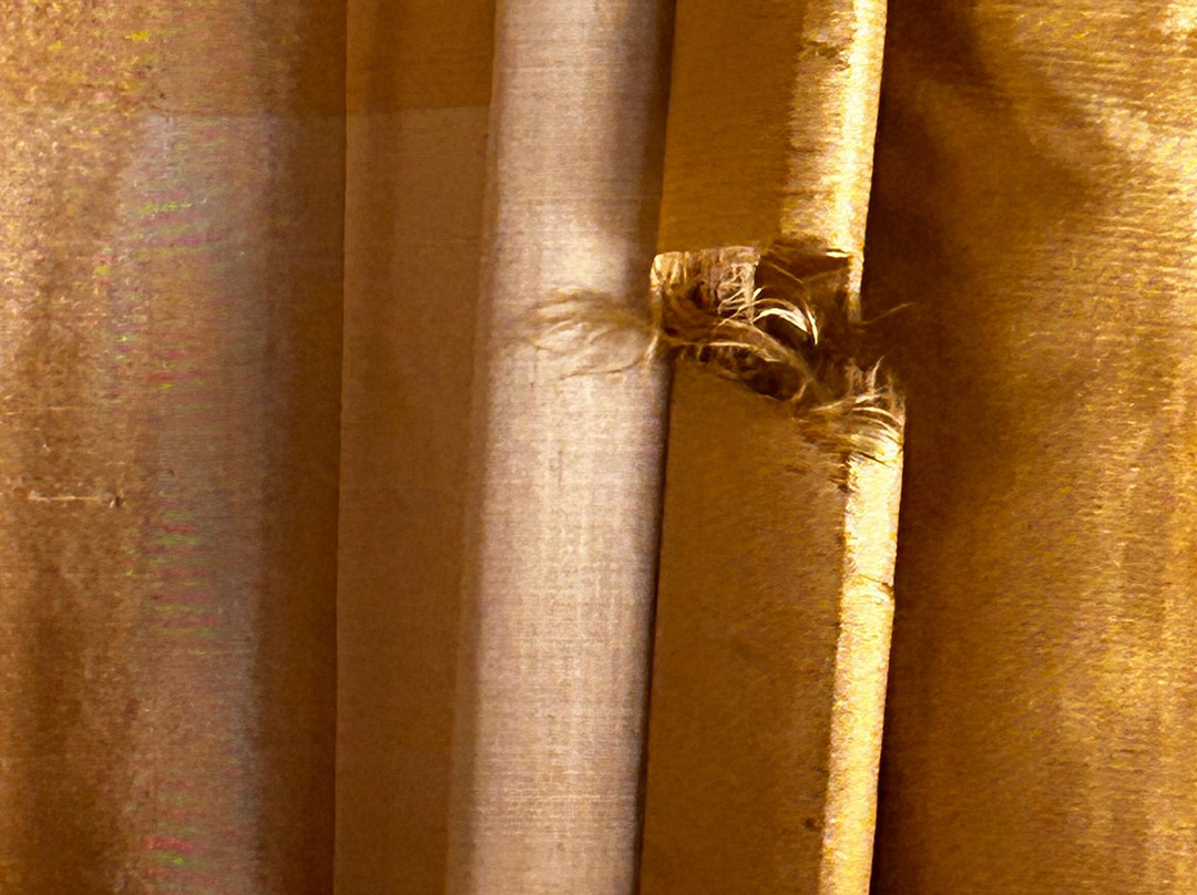 Fairview Bed and Breakfast Estate主图