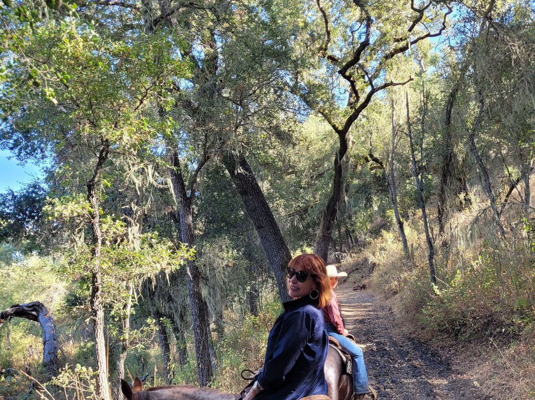 Central Coast Trailrides景点图片