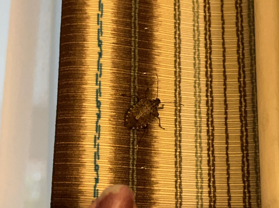 Best Western Lexington Inn主图