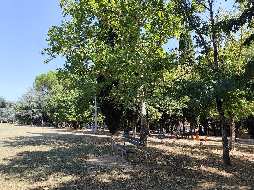 Parco Colle del Pionta景点图片