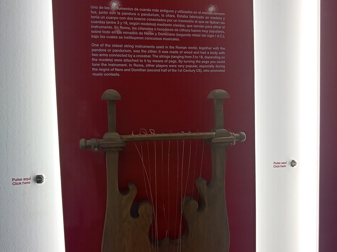 Museo Abierto de Merida MAM景点图片