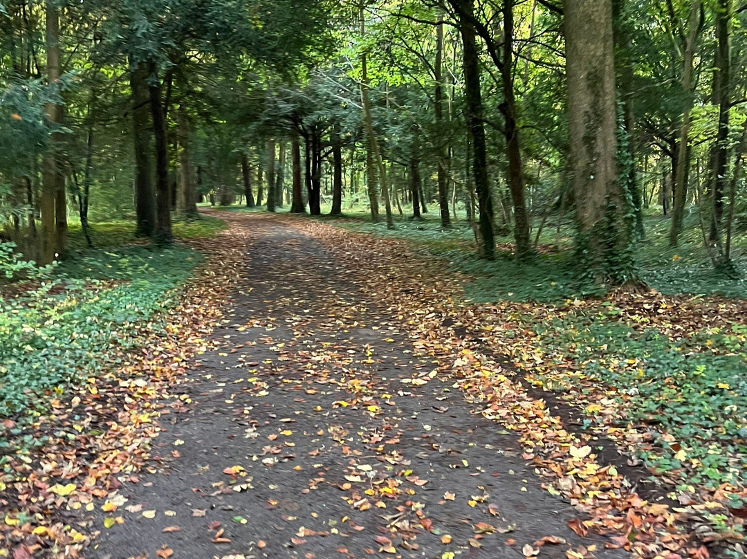 Cirencester Park-赛伦塞斯特必去景点