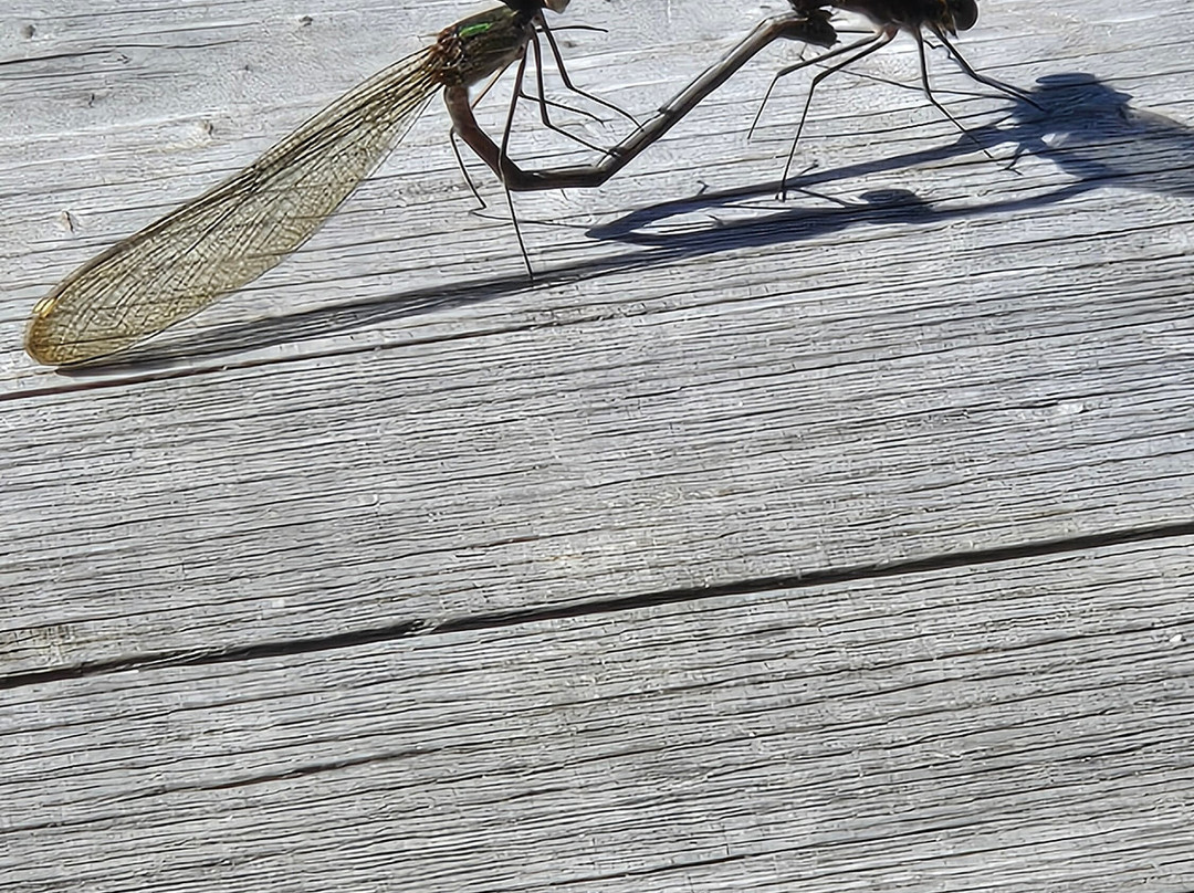 James River Batteau Company-Scottsville必去景点