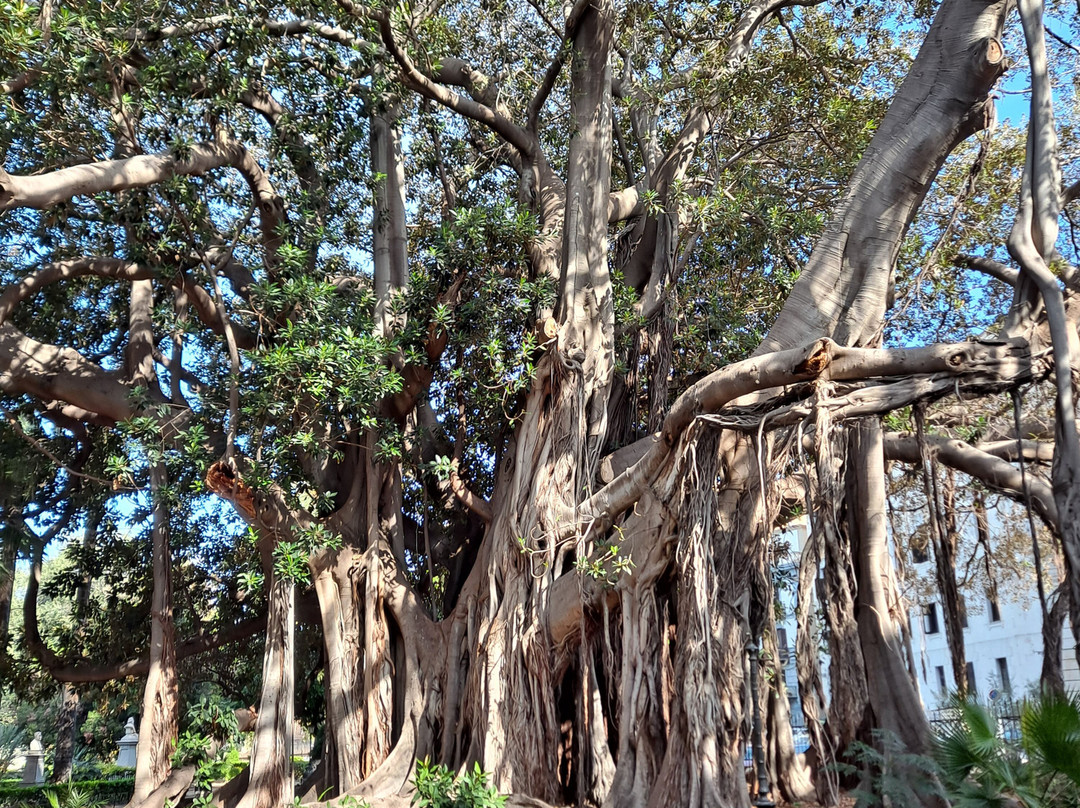 Giardino Garibaldi-巴勒莫必去景点