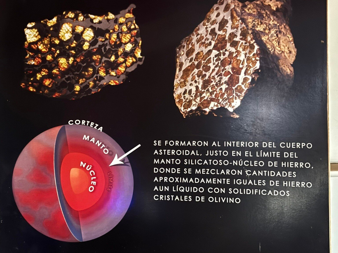 Museo del Meteorito景点图片