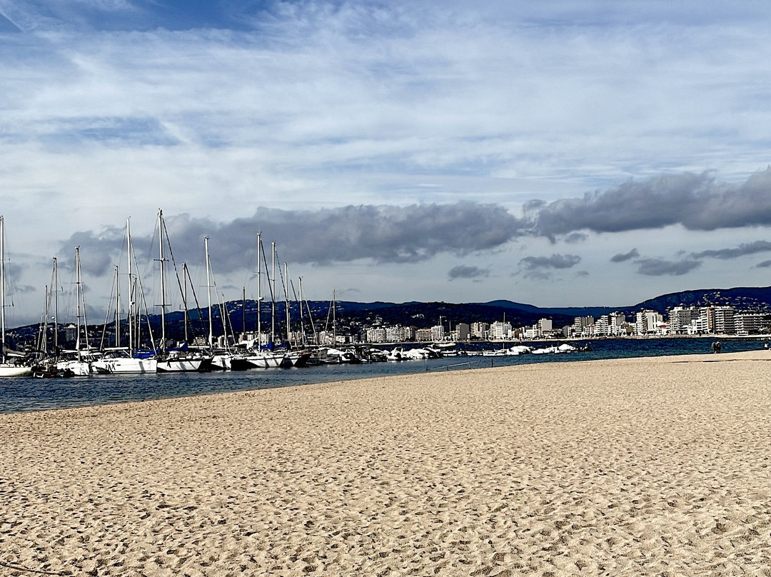 Hotel Marina Palamós主图