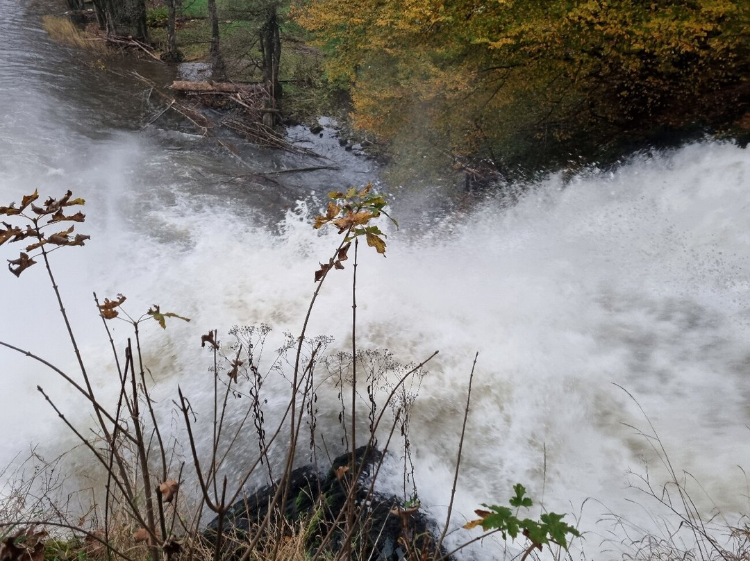 Les Cascades de Coo景点图片