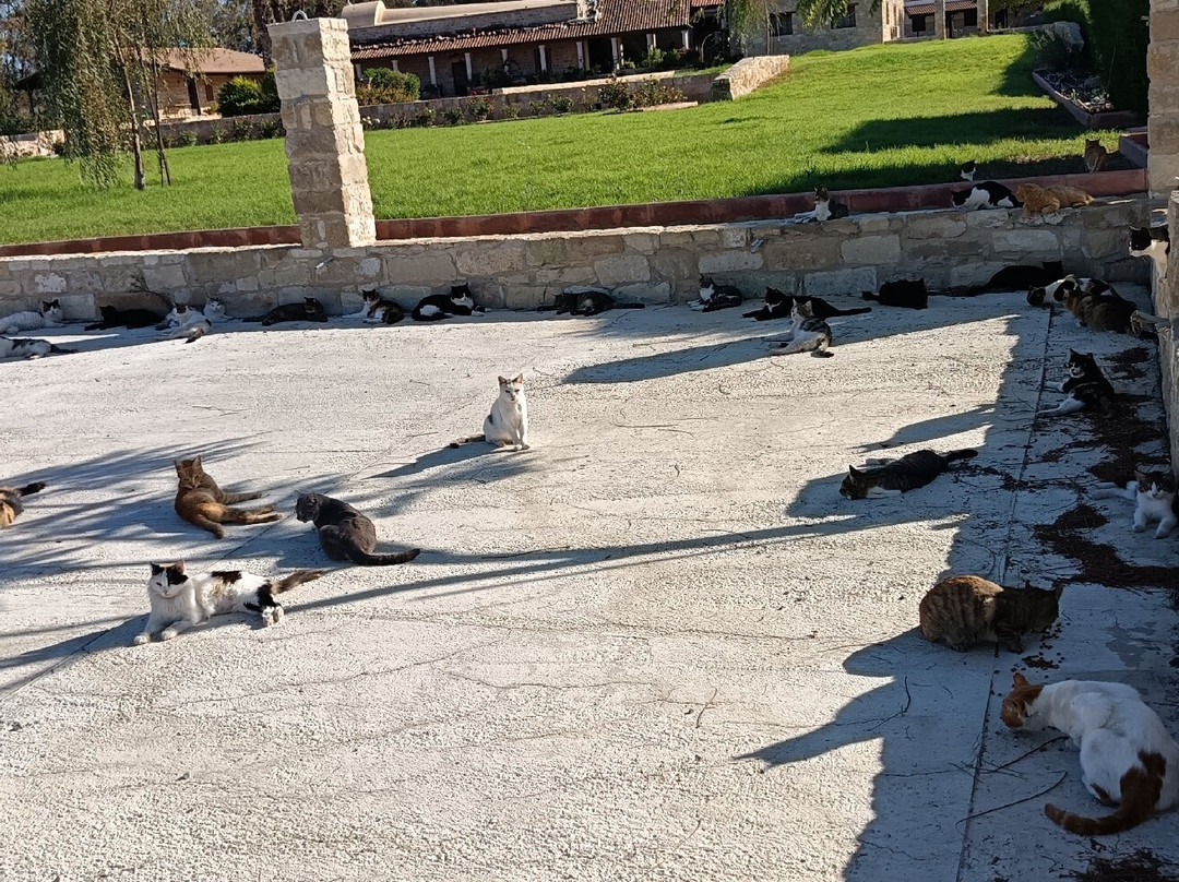 St. Nicholas of the Cats-Akrotiri必去景点