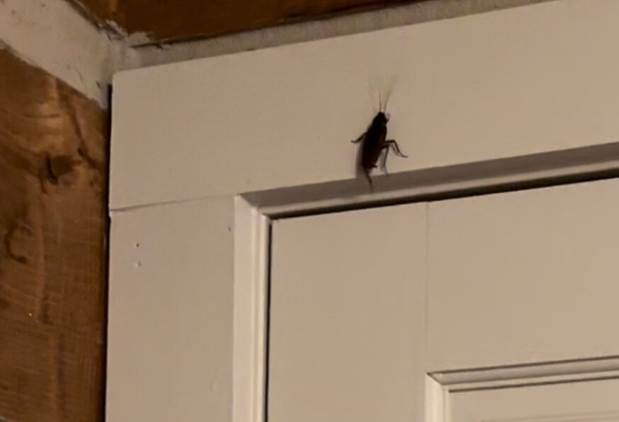 Lake Rabun Hotel & Restaurant主图