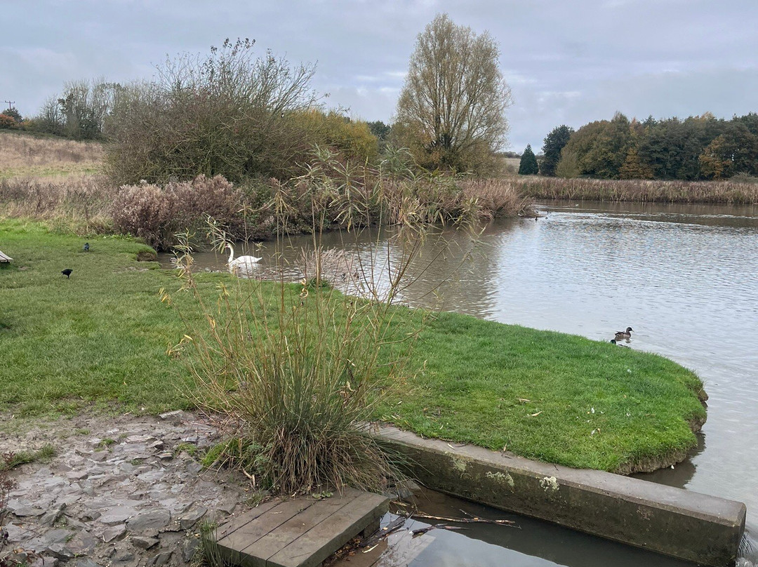 Melton Country Park景点图片