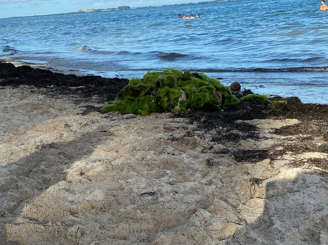 Anse Michel-Sainte-Anne必去景点