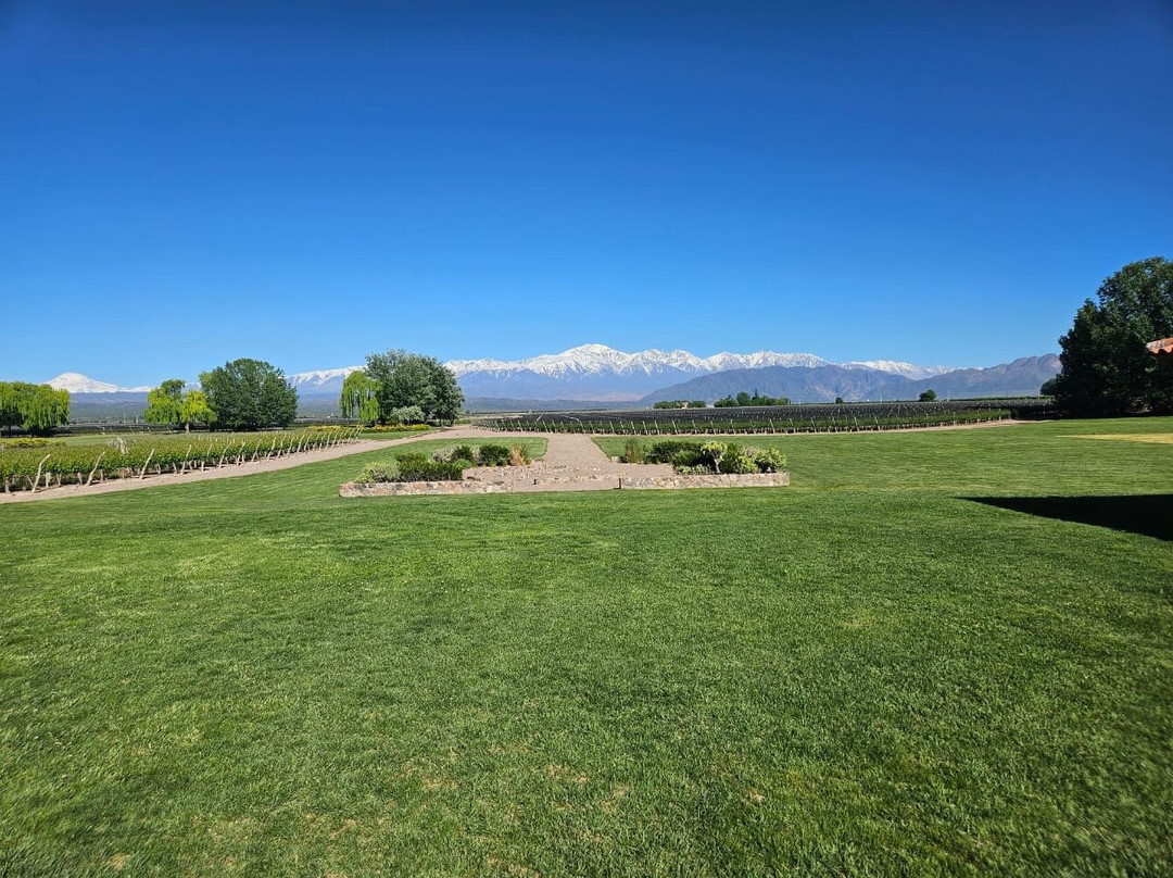Passeios Vinícola Mendoza-门多萨必去景点