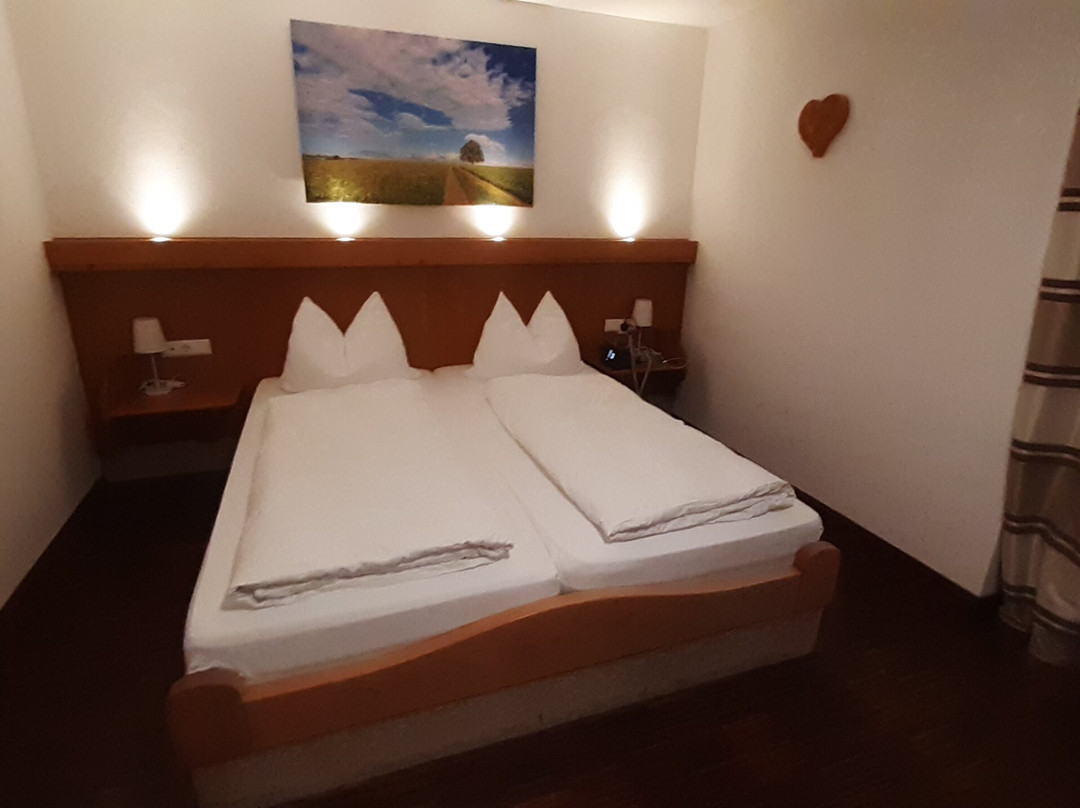 Hotel Oberwirt主图