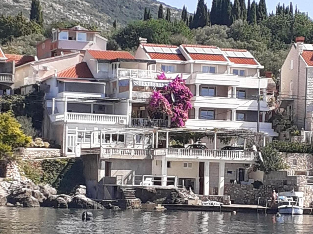 Apartments Ane