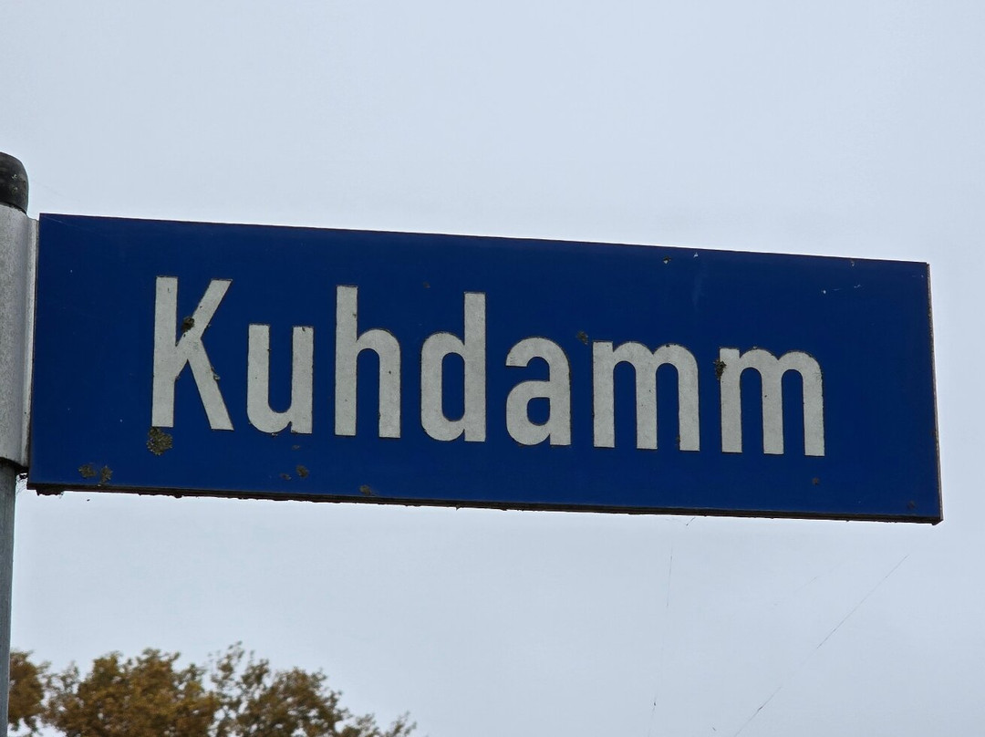 Der Fischlaender主图