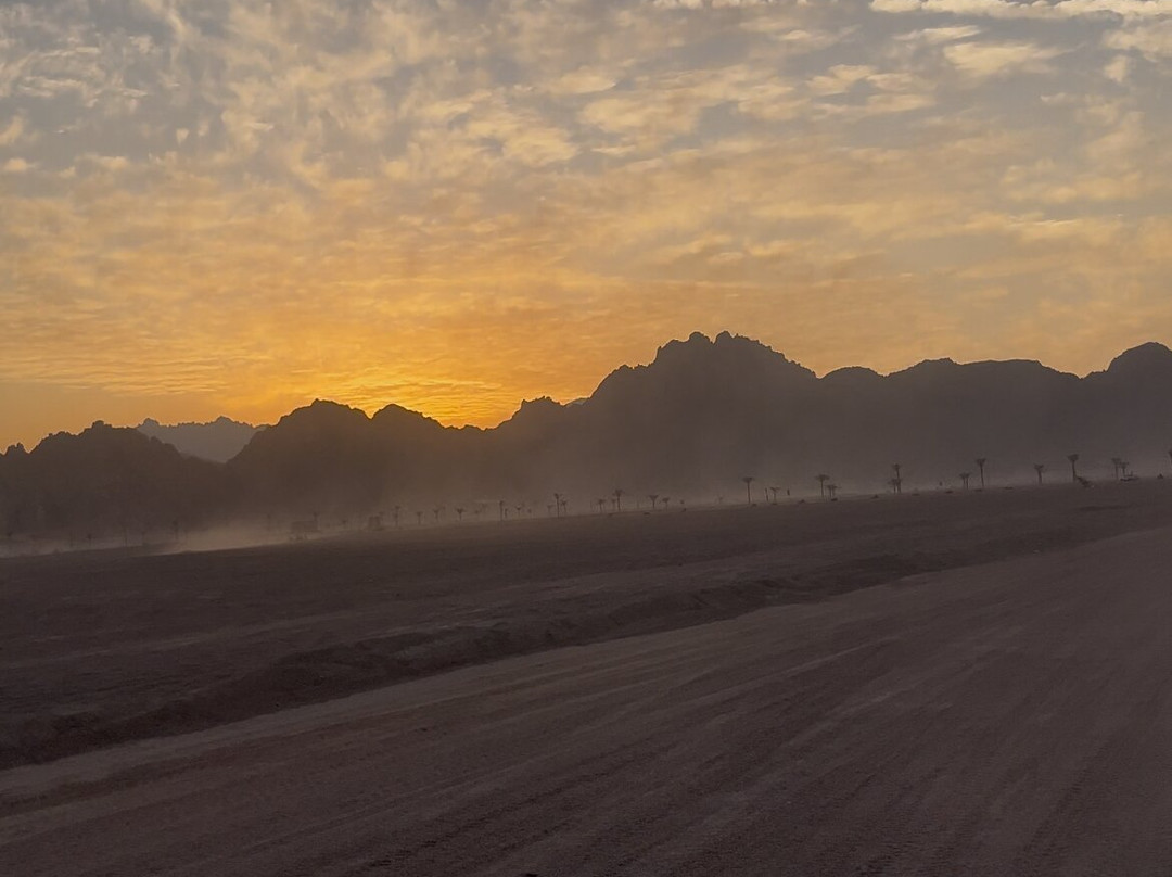 Sun Safari Egypt-沙姆沙伊赫必去景点