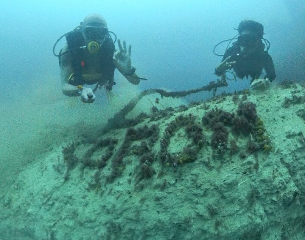 Coron Sanho Dive Center景点图片
