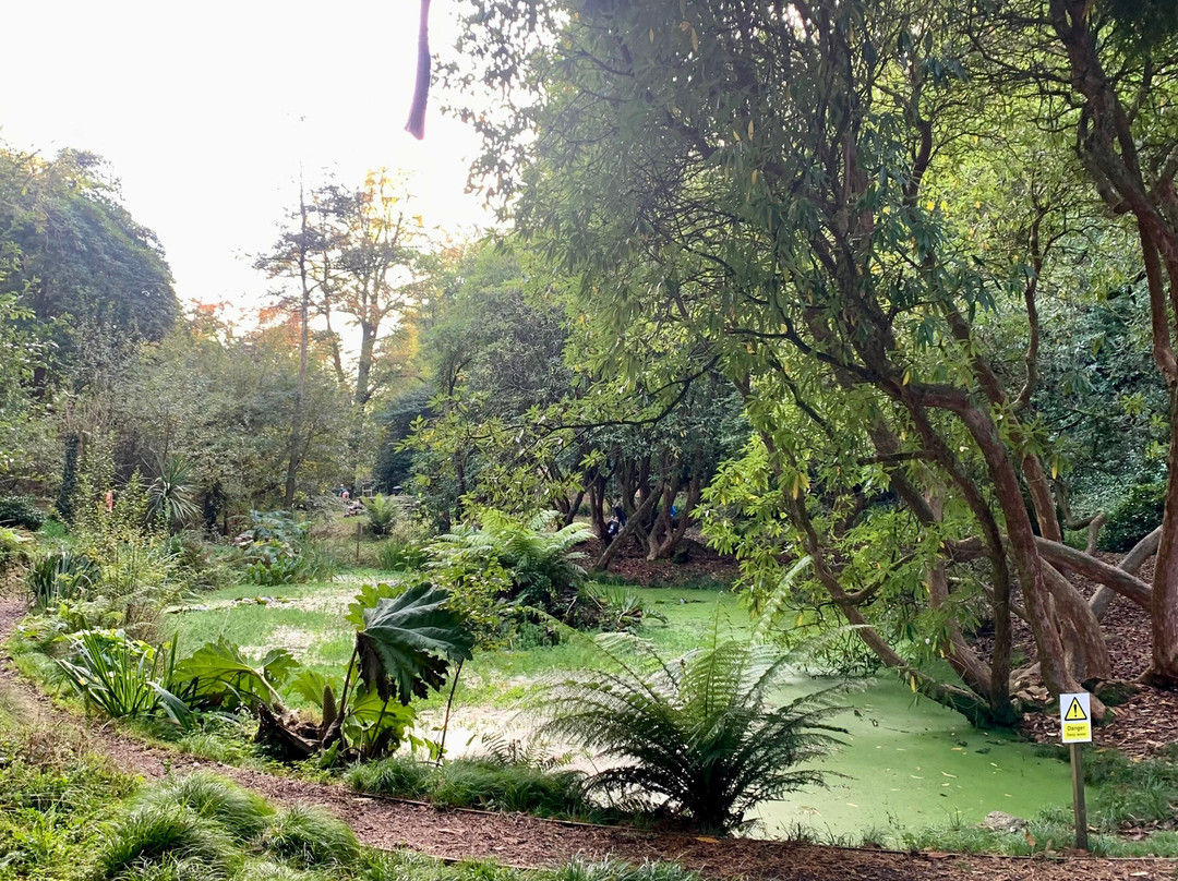 Menacuddle Well & Gardens-圣奥斯特尔必去景点