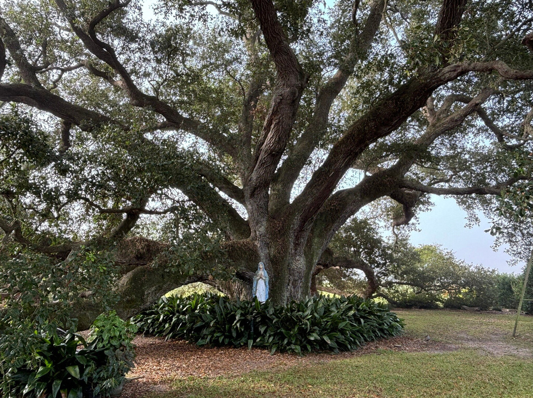 Bouverans Bed And Breakfast主图