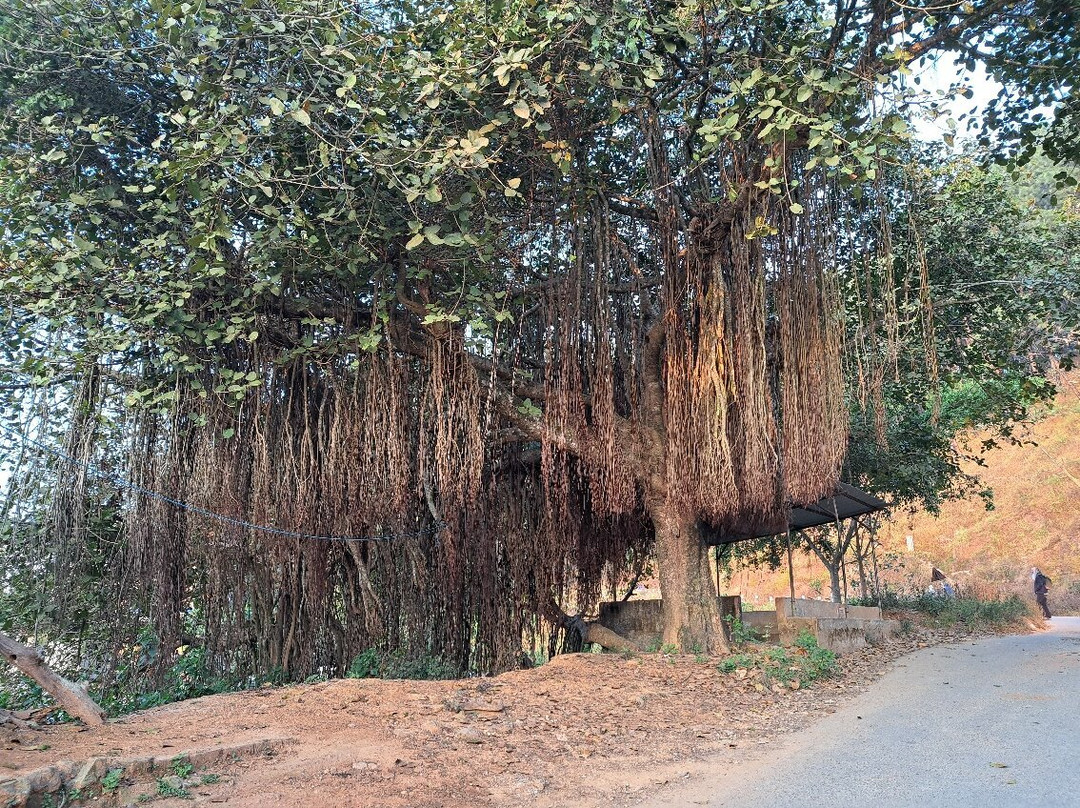 Horizon Homestay主图