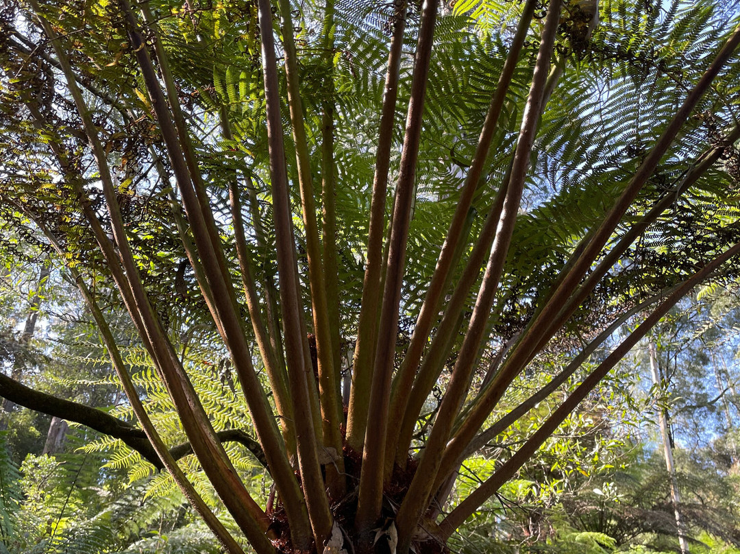 Baynes Park-蒙布克必去景点