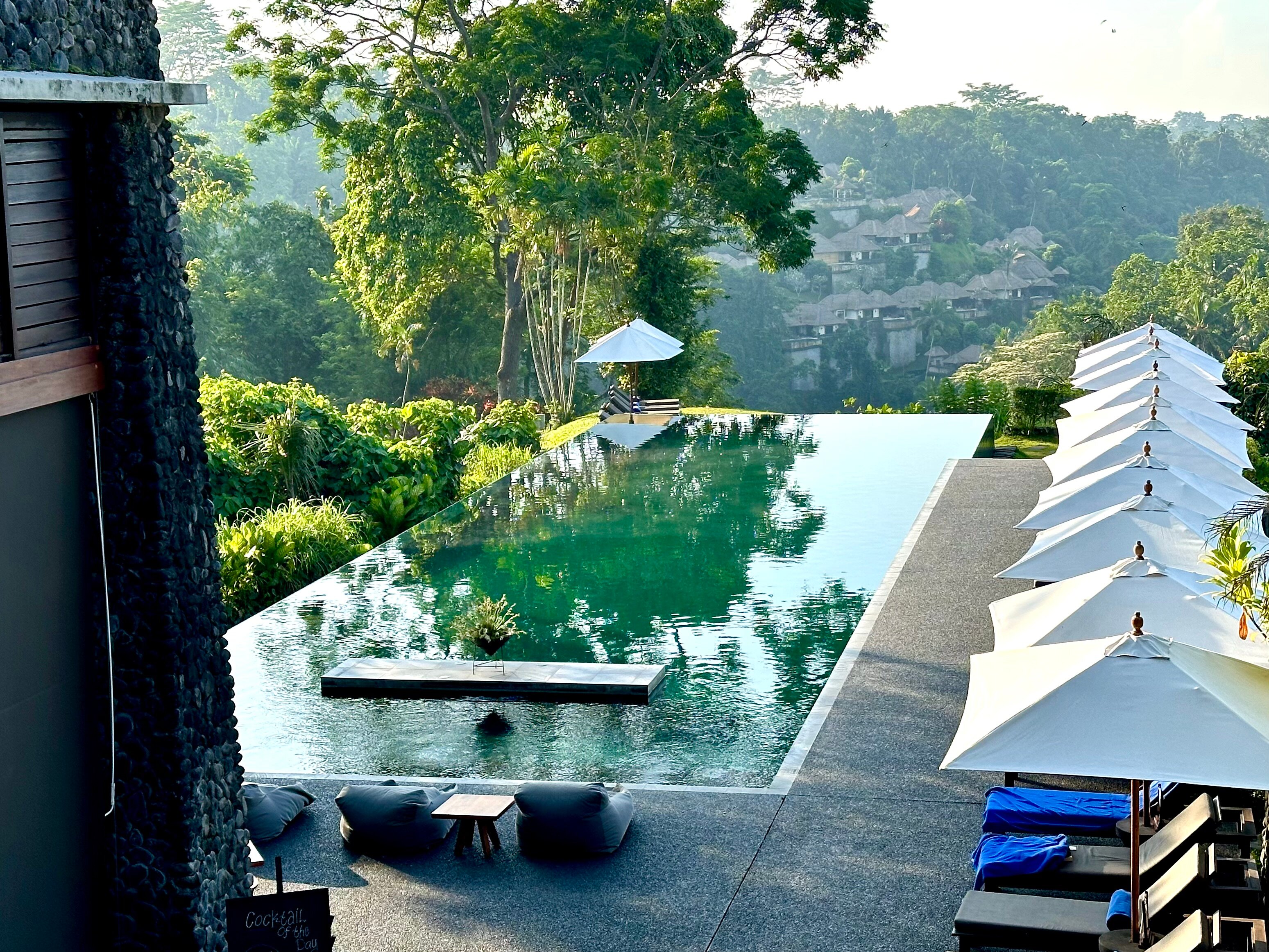 阿丽拉 乌布 . 巴厘岛-泳池