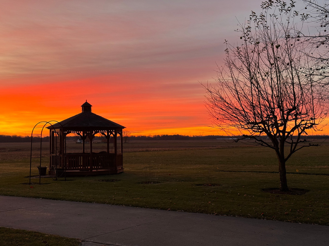 Scottish Bed & Breakfast主图