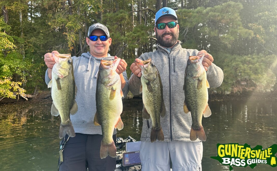Guntersville Bass Guides-Guntersville必去景点