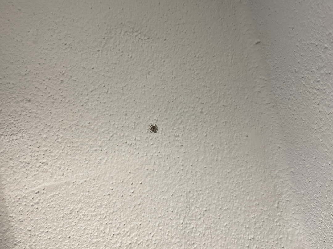 里德纳斯酒店&会议中心主图