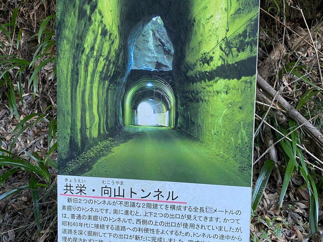 Kyoei / Mukoyama Tunnel景点图片