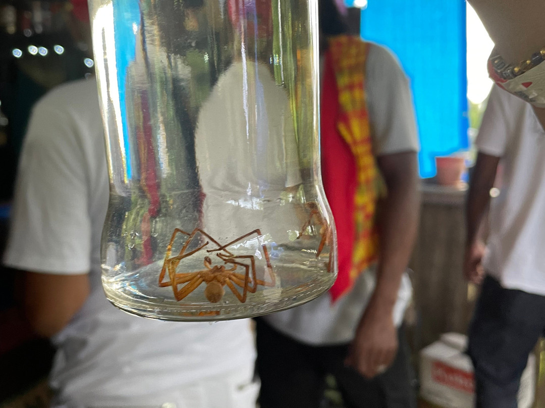 Ricky'sToursVoyage&Services-罗索必去景点