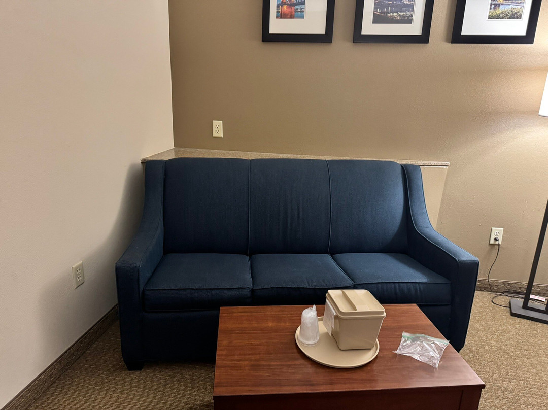 辛辛那提机场康福特套房酒店主图