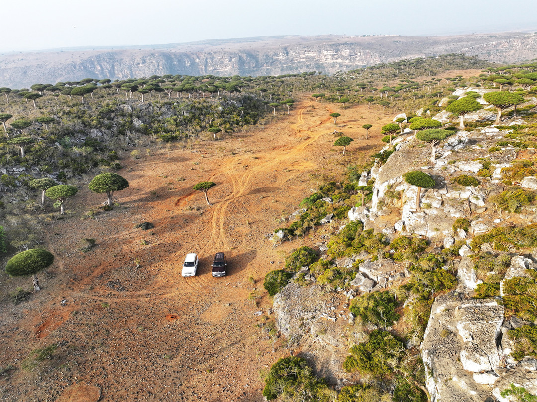 Traveling  Socotra-索科特拉岛必去景点
