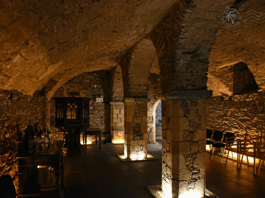 Waterford Treasures: Medieval Museum-沃特福德必去景点