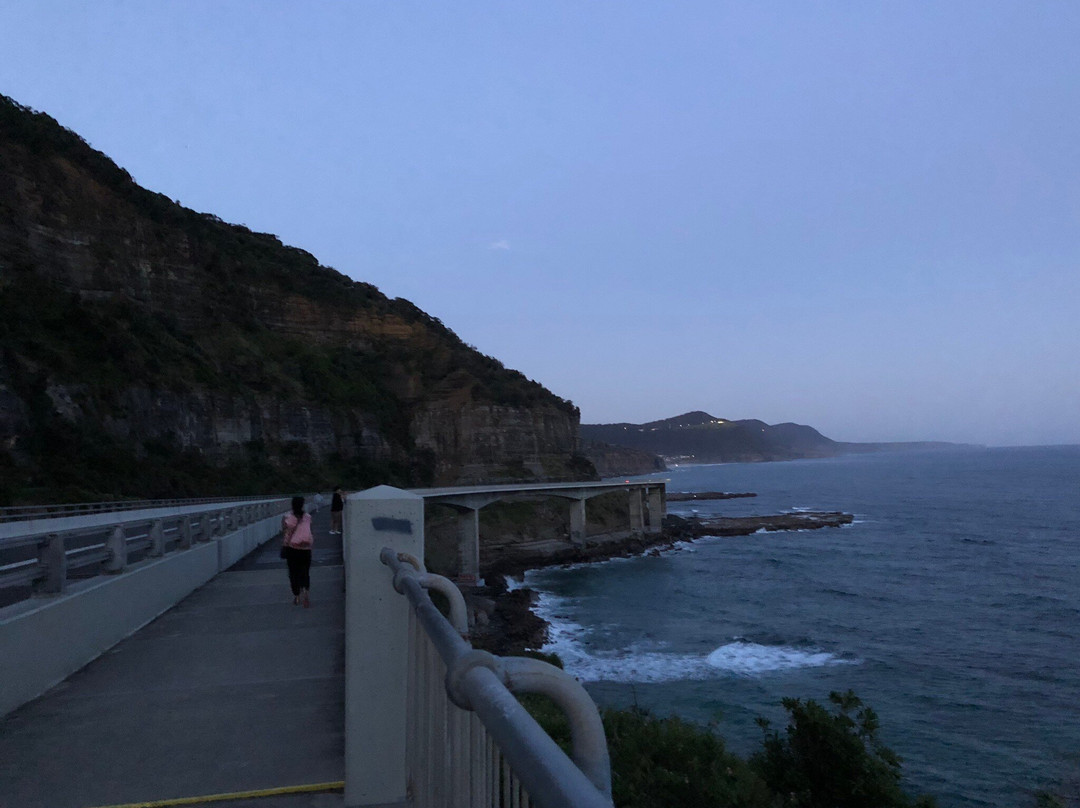 蓝色海洋路-卧龙岗市必去景点