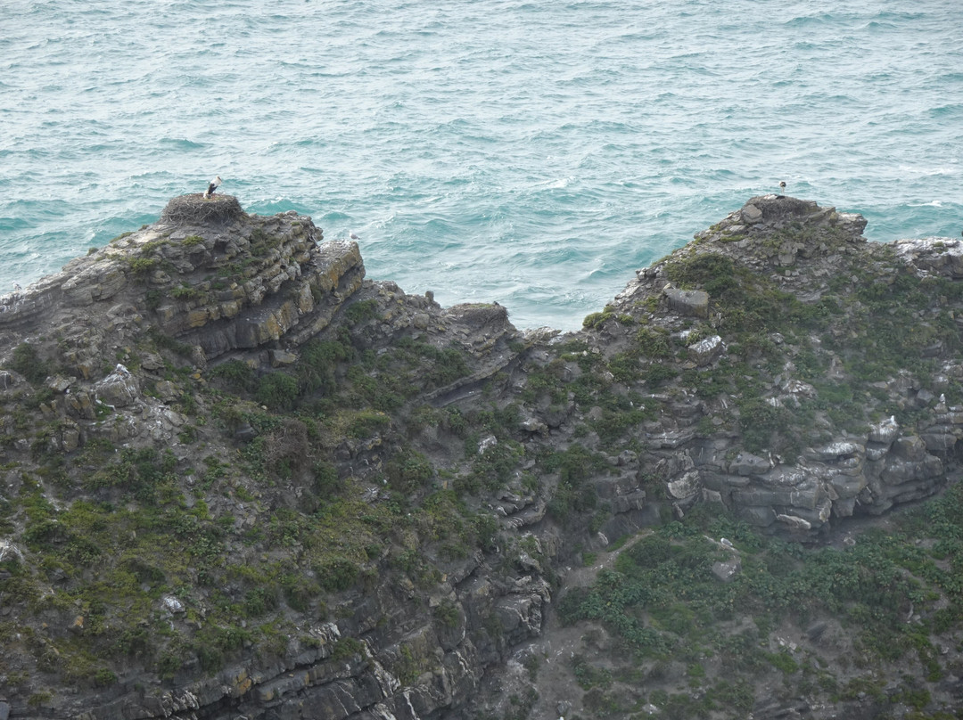 Parque Natural do Sudoeste Alentejano e Costa Vicentina景点图片