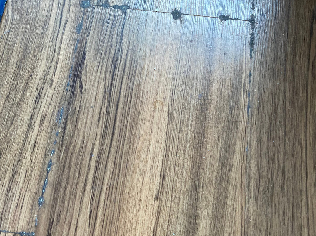 Tru by Hilton Beaufort主图