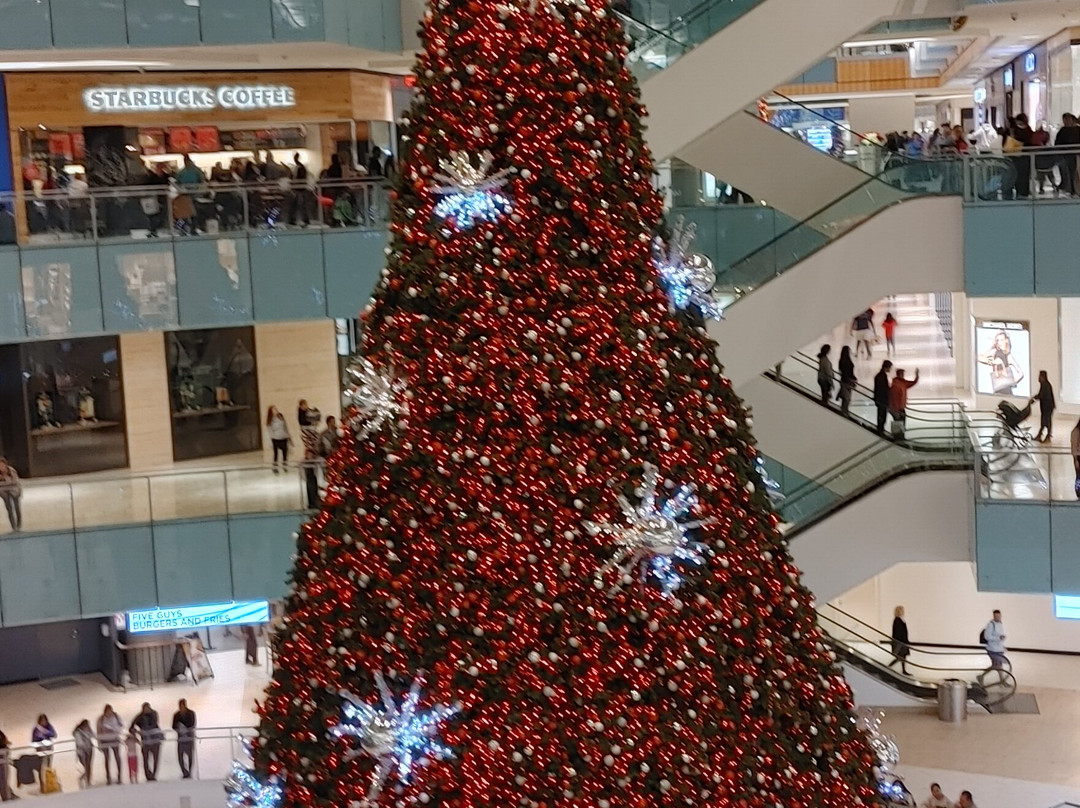 达拉斯商业街-达拉斯必去景点