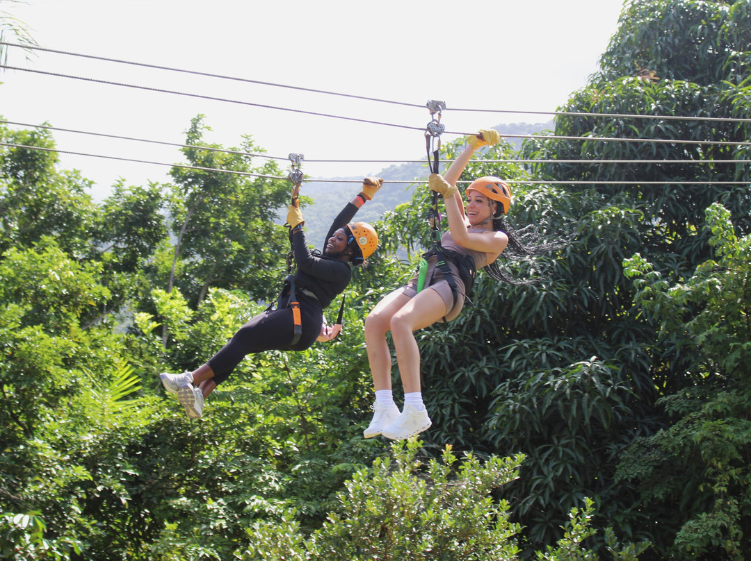Rainforest Zipline Park景点图片