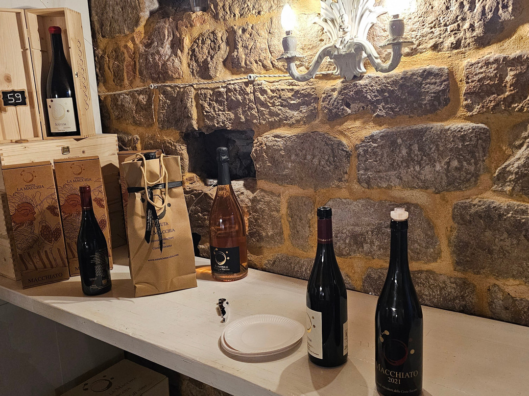 Tenuta La Macchia-Montescudaio必去景点