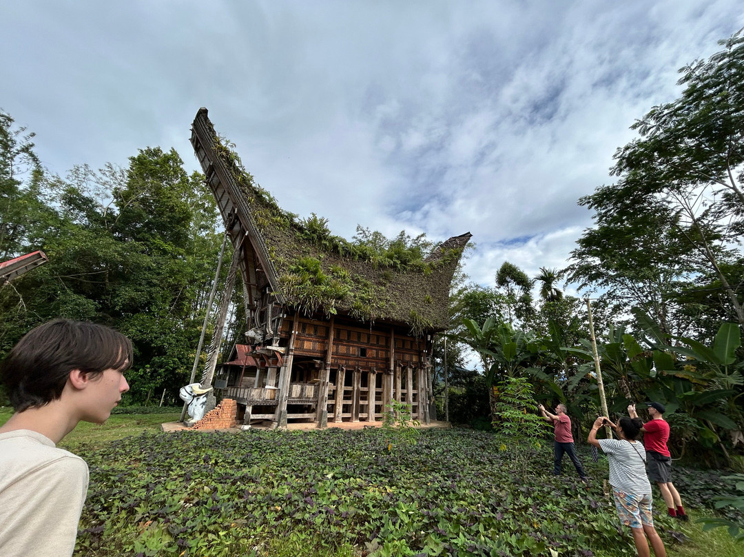 Toraja Tour Guide景点图片