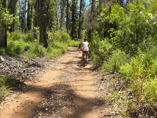 Margaret River Adventure Co.-玛格丽特河必去景点