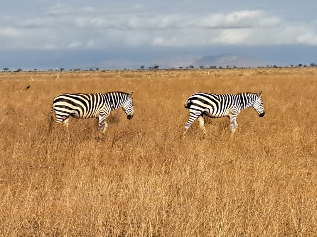 Tour In Kenya-瓦塔木必去景点