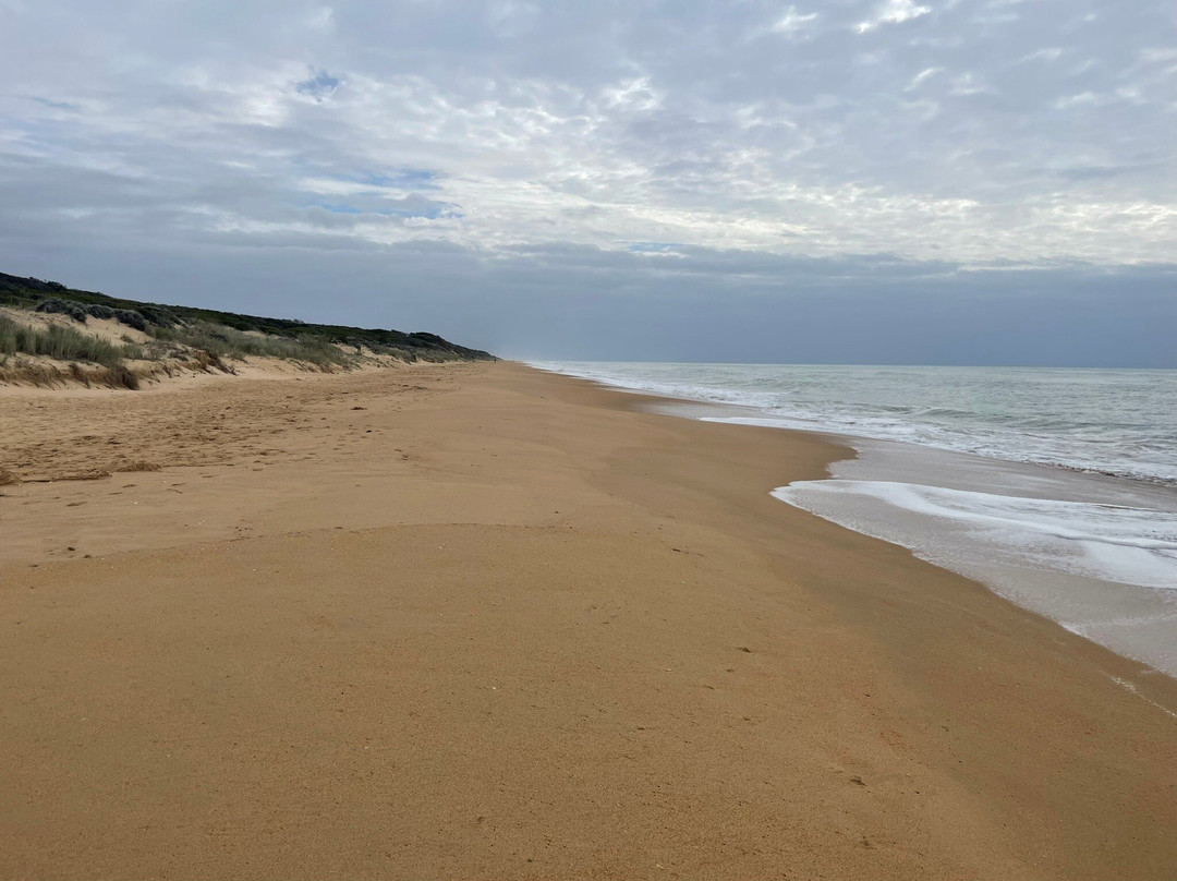 Golden Beach-Golden Beach必去景点