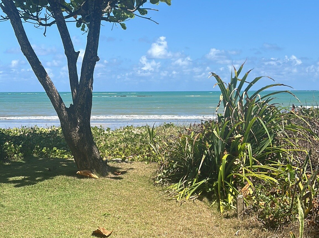 Igarakue Hotel Pousada主图