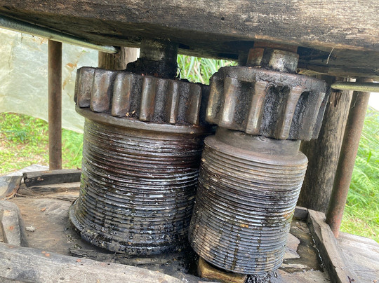 Finca La Arrinconada-麦德林必去景点