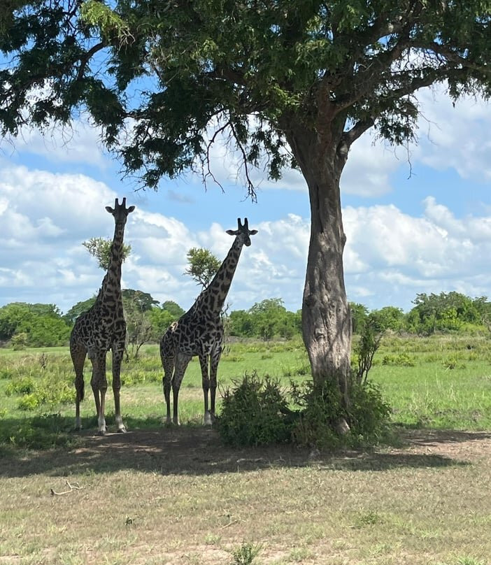 Zanturtle Explore Tours and Safaris-桑给巴尔岛必去景点