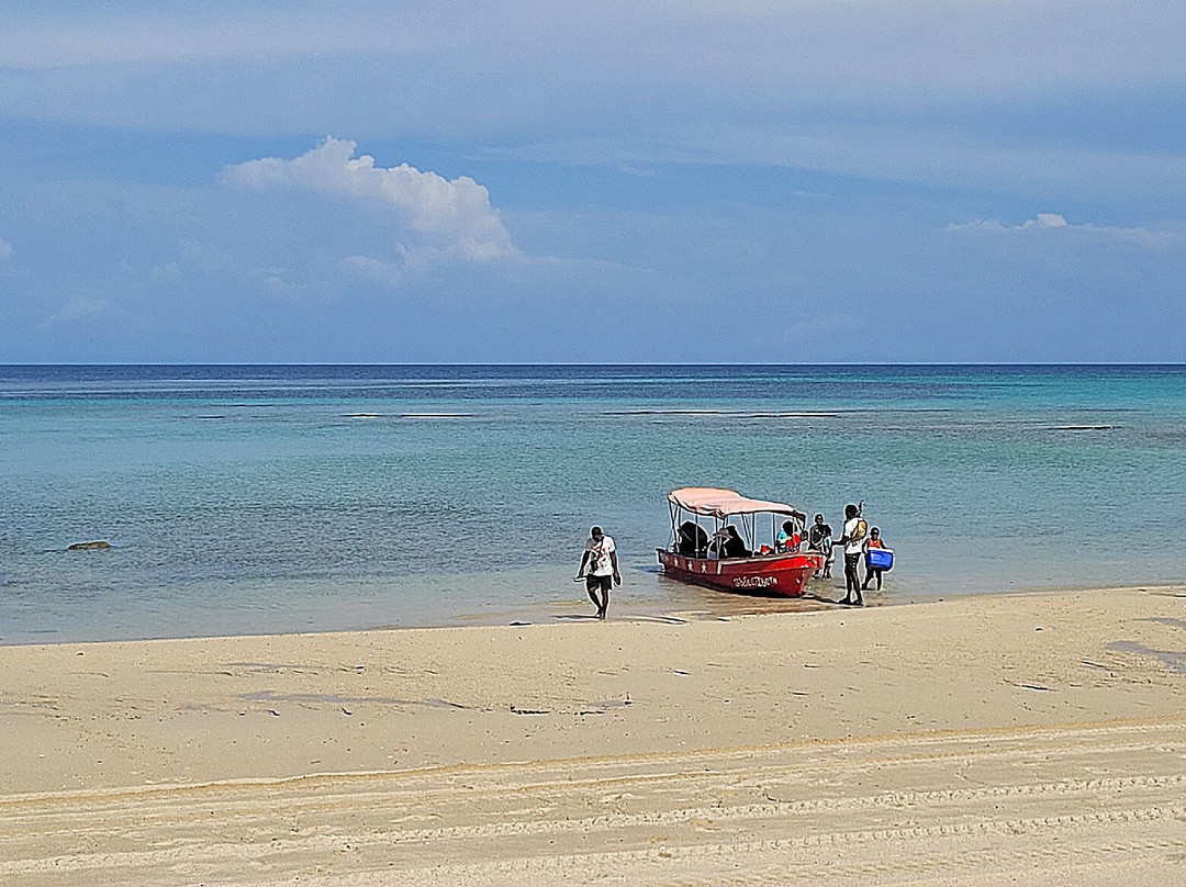 Playa Larga景点图片